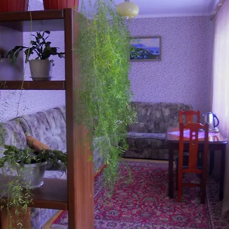 Mini Furmi Skhidnytsia