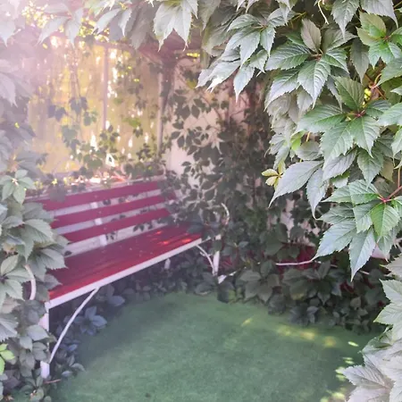 Mini Furmi 3* Skhidnytsia