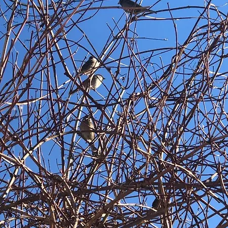 Mini Furmi 3* Skhidnytsia