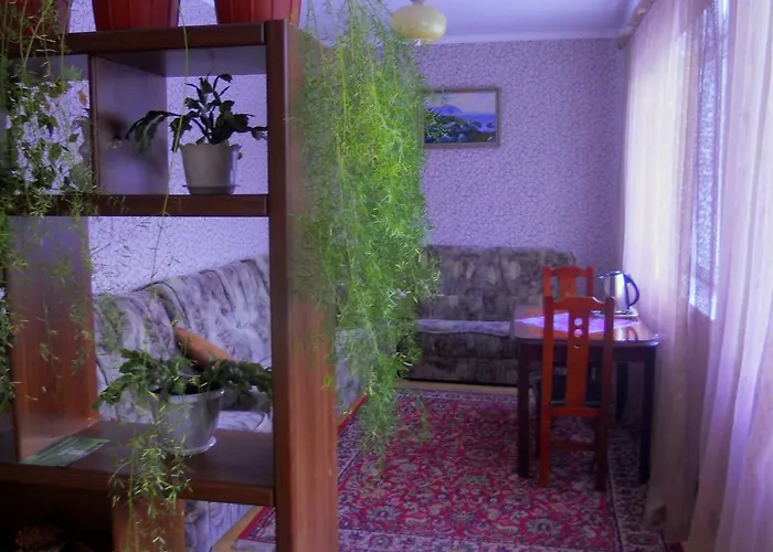 Mini Furmi Skhidnytsia