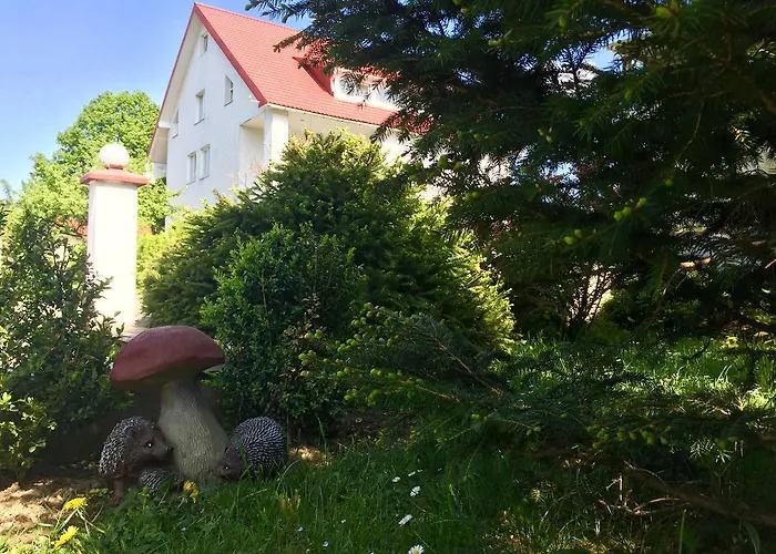 Zajazd Mini Furmi Skhidnytsia