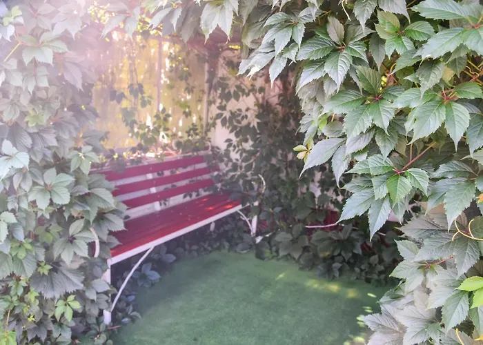 Mini Furmi 3* Skhidnytsia
