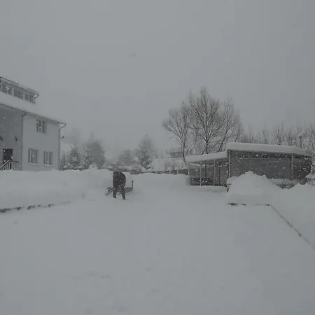 Mini Furmi Πανδοχείο Skhidnytsia