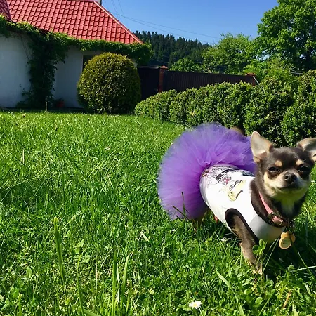 Zajazd Mini Furmi 3*